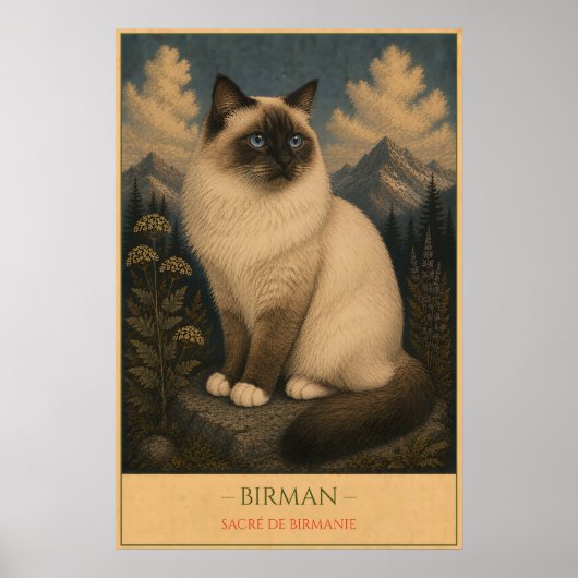 Gewijde Gratie: Birmese Kat Poster (Voorkant)