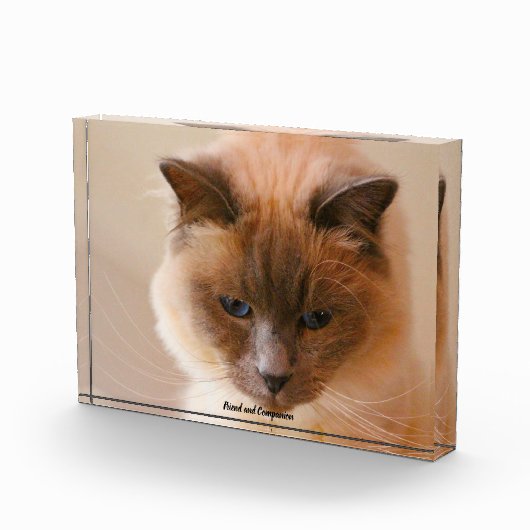 Gewijde Kat Fotoblokken (Rechts)