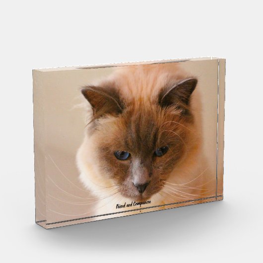 Gewijde Kat Fotoblokken (Links)