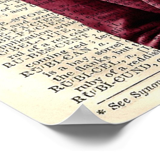 gewijzigd Kunstkonijnenboek Poster (Hoek)