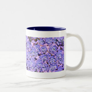 Gewijzigde blauwe bloemige succulenten koffiekop tweekleurige koffiemok