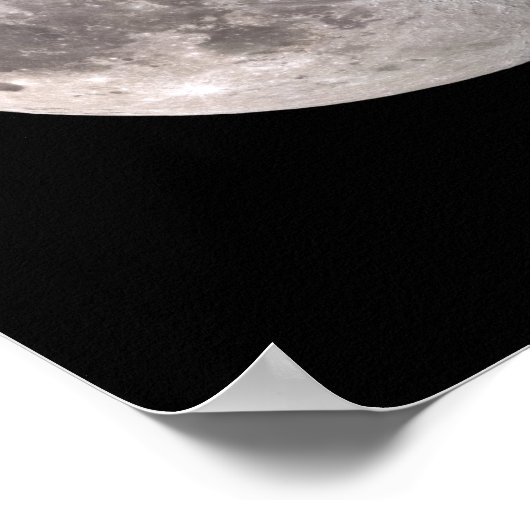 Gewilde bruine maan poster (Hoek)