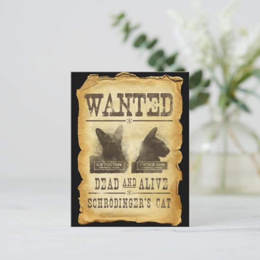 Gewilde doden en levend. De kat van Schroedinger Briefkaart (Staand voorkant)