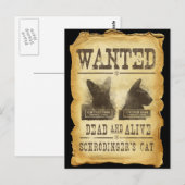 Gewilde doden en levend.  De kat van Schroedinger Briefkaart (Voorkant / Achterkant)