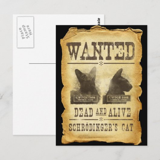 Gewilde doden en levend.  De kat van Schroedinger Briefkaart (Voorkant / Achterkant)
