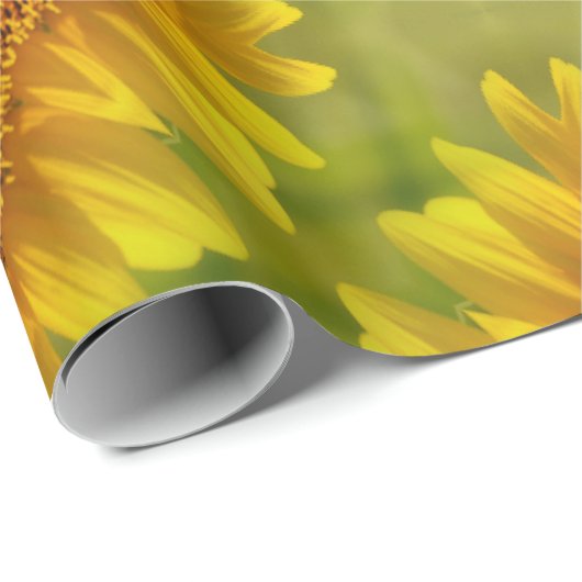 Gewogen zonnebloemen.... cadeaupapier (Rol Hoek)