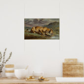 gewonde leeuwin poster (Keuken)