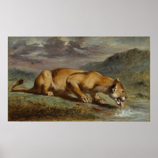 gewonde leeuwin poster (Voorkant)