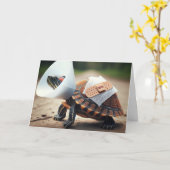 Gewonde schildpad wordt snel beter kaart (Gele Bloem)