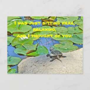 Gewone bijtschildpad - Chelydra serpentina Briefkaart