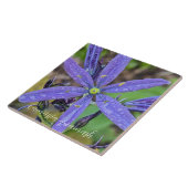 Gewone Blauwe Camas Bloem Tegeltje (Zijkant)