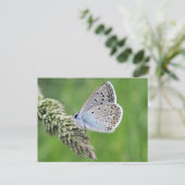 Gewone Blauwe Vlinder op Gras Briefkaart (Staand voorkant)
