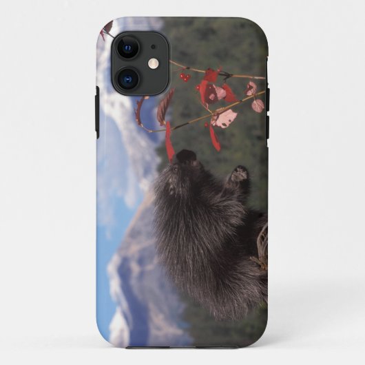Gewone boomstekelvarken die hoog struik cranberry  Case-Mate iPhone case (Achterkant)