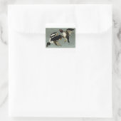 Gewone brilduiker zee-eend  vierkante sticker (Tas)