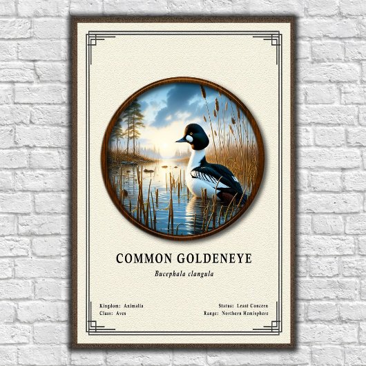 Gewone Brilduiker Zoologie Serie Poster