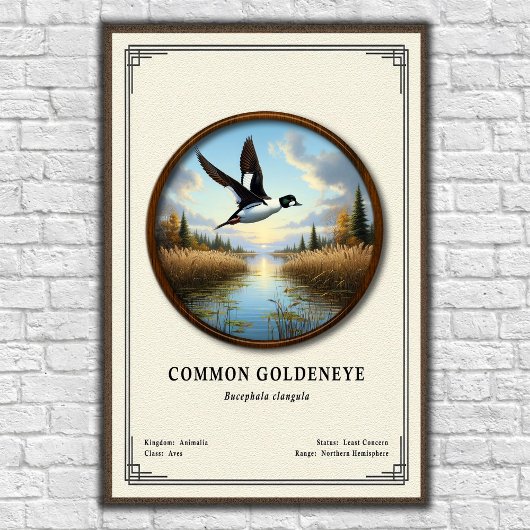 Gewone Brilduiker Zoölogie Serie Poster