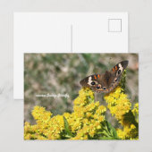 gewone Buckeye Butterfly-Briefkaart Briefkaart (Voorkant / Achterkant)