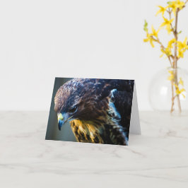 Gewone Buizerd Wenskaart Kaart