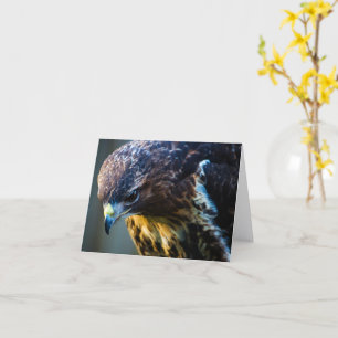 Gewone Buizerd Wenskaart Kaart
