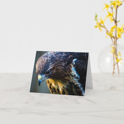 Gewone Buizerd Wenskaart Kaart (Gele Bloem)