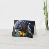 Gewone Buizerd Wenskaart Kaart (Voorkant)