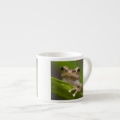 Gewone coqui, Eleutherodactylus coqui Espresso Kop (Voorkant rechts)
