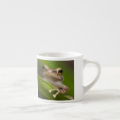 Gewone coqui, Eleutherodactylus coqui Espresso Kop (Rechts)