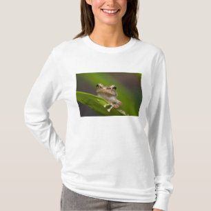 Gewone coqui, Eleutherodactylus coqui T-shirt