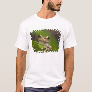 Gewone coqui, Eleutherodactylus coqui T-shirt