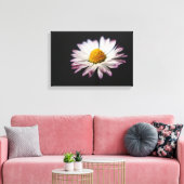 Gewone Daisy 16.50x11 (41.25x27.5cm) waca Canvas Afdruk (Insitu (Woonkamer))