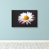 Gewone Daisy 16.50x11 (41.25x27.5cm) waca Canvas Afdruk (Insitu (Houten vloer))