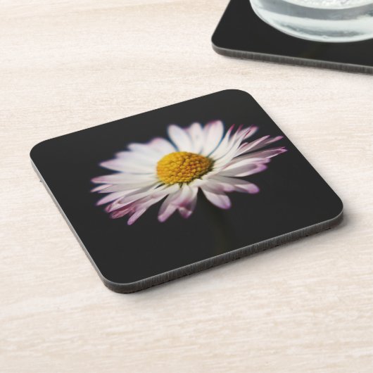 Gewone Daisy coastercnm Bier Onderzetter (Linkerzijde)