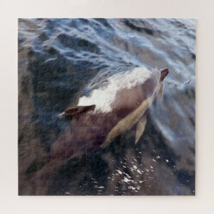 Gewone dolfijn aan de oppervlakte Blauwe oceaan Ma Legpuzzel