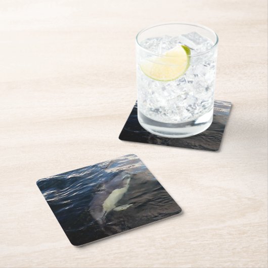 Gewone Dolfijn Zwemmen Onderzetter (Insitu)