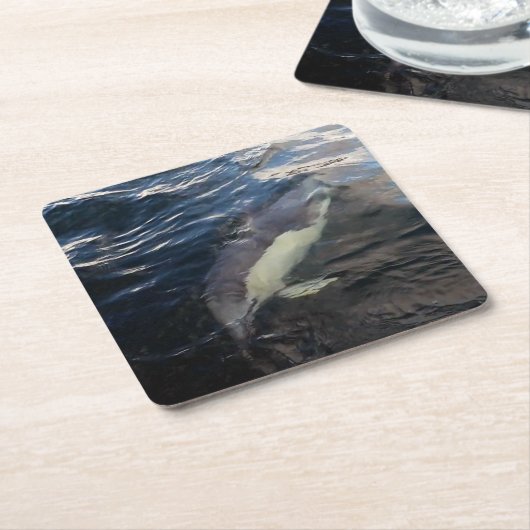 Gewone Dolfijn Zwemmen Onderzetter (Schuin)