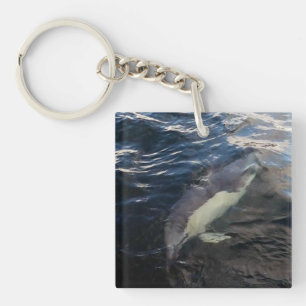 Gewone dolfijn Zwemmende Oceaan Wilde dieren Zeele Sleutelhanger