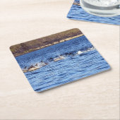 Gewone dolfijnen bruisend Onderzetter (Schuin)