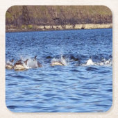 Gewone dolfijnen bruisend Onderzetter (Voorkant)