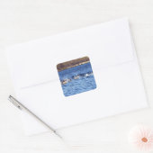 Gewone dolfijnen die door het water springen Oceaa Vierkante Sticker (Envelop)