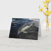 Gewone dolfijnen zwemmen kaart (Gele Bloem)