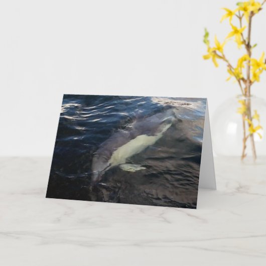 Gewone dolfijnen zwemmen kaart (Gele Bloem)