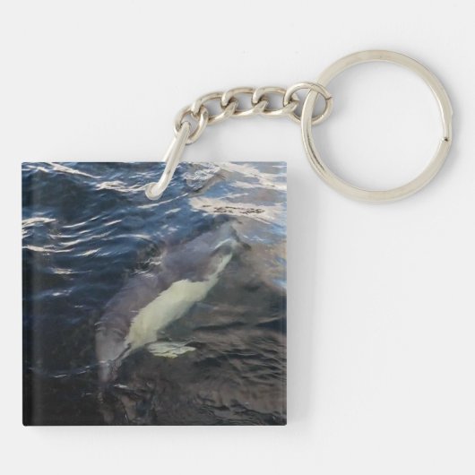 Gewone dolfijnen zwemmen sleutelhanger (Achterkant)