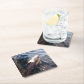 Gewone Dolphin Surfacing Onderzetter (Insitu)