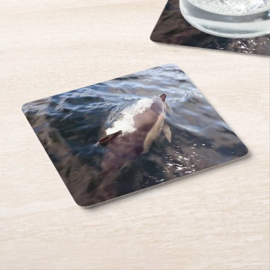 Gewone Dolphin Surfacing Onderzetter (Schuin)
