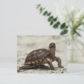 Gewone doosschildpad briefkaart (Staand voorkant)