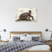Gewone doosschildpad canvas afdruk (Insitu (Slaapkamer))