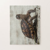 Gewone doosschildpad legpuzzel (Verticaal)