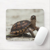 Gewone doosschildpad muismat (Met muis)