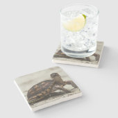 Gewone doosschildpad stenen onderzetter (Zijkant)