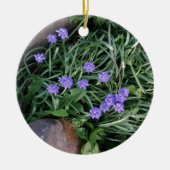 gewone druif, blauwe paarse bloem, bloem keramisch ornament (Voorkant)